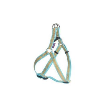  Papagayo Harness - Blue / Large 