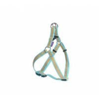 Papagayo Harness - Blue / Large