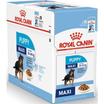  Royal Canin Dog WET FOOD  MAXI PUPPY (Box 10X140G ) 