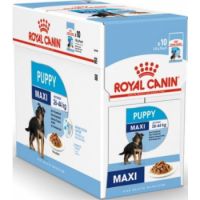 Royal Canin Dog WET FOOD  MAXI PUPPY (Box 10X140G )