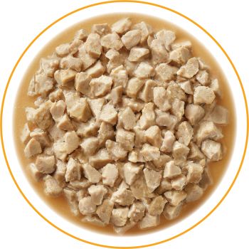 Stella & Chewy’s Carnivore Cravings Morsels’N’Gravy – Chicken & Salmon Recipe – 2.8 oz 
