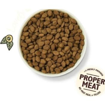  Lily's Kitchen Shepherd's Pie Lamb Grain Free Adult Dry Dog Food - 12KG 