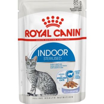  Royal Canin Indoor Jelly Cat Wet  Food Pouches 85G 