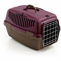 Pawsitiv Marco Polo 1 Purple