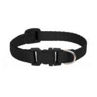 Cat Collar BLACK -1/2" Basics
