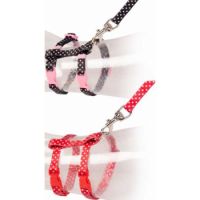 Duvo+ Kitten Walking Set White Dots Black/Red 15-25cm / 8mm-125cm