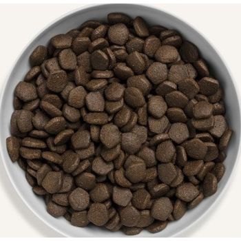  Canagan Scottish Salmon Dry Dog Food 2kg 