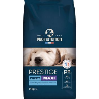  Pro nutrition Prestige Puppy Maxi 14Kg 