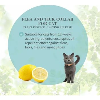  Bioline Flea and Tick Collar Cat 35cm[Flavor - Eucalyptus & Lemon] 
