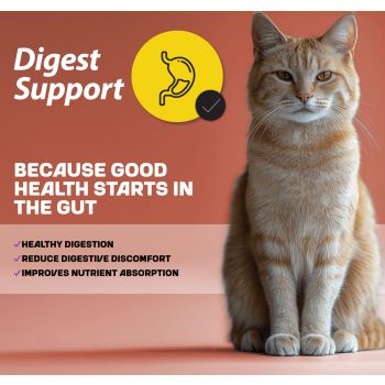  Myfood Superpremium Dry Food for Adult Cats with Lamb and Rice 1.5 kg 