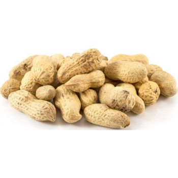  Peanut with shell 270G 