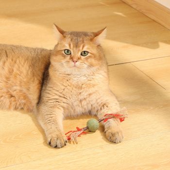  M-PETS Charmy Branch Red Catnip Cat Toy 