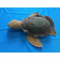 Nutrapet TURTLE Dog Toys