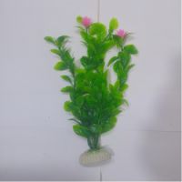 Sea Star Aquarium Plant PLT817S