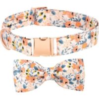 Saas Pet Collar With Bowknot Large