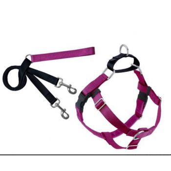  Freedom No-Pull Harness and Leash - Raspberry / XS 5/8" 
