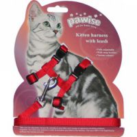 Pawise Kitten Harness with Leash Asst Colors