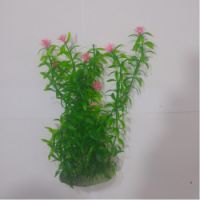 Sea Star Aquarium Plant PLT830M