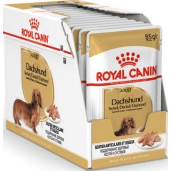  Royal Canin Dachshund Adult dog Wet Food  Box of 12x85g 