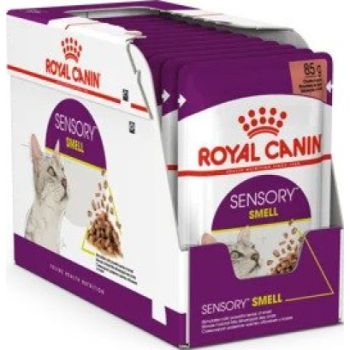  Royal Canin Sensory Smell Gravy (WET FOOD - POUCHES) 12 x 85g 