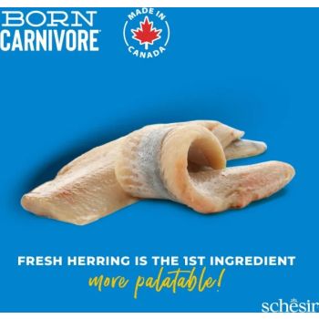  Schesir Born Carnivore Grain Free Oven Baked Dry Cat Herring & Salmon 1.25kg 