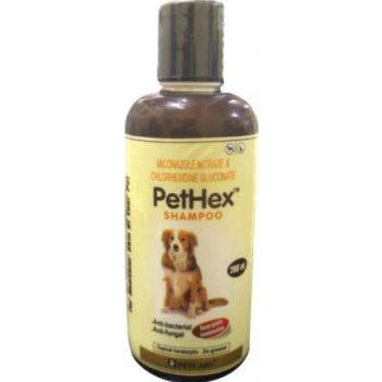  Pet Care Pethex Shampoo (200 ml) 