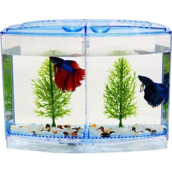  Shengang Dual Fish Tank – 19.5×12.3cm   (Without Accessories and fish) 