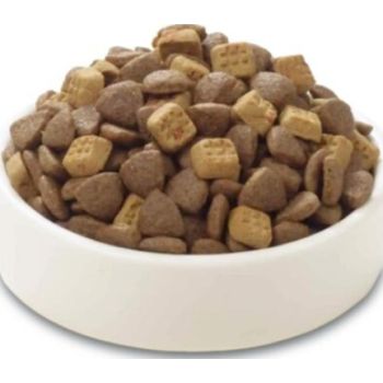  Wanpy Grain Free Complete Food for Adult Cat – Salmon Recipe 500g 