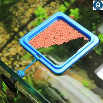  Saas Fish Feeding Ring 10*3.2cm 