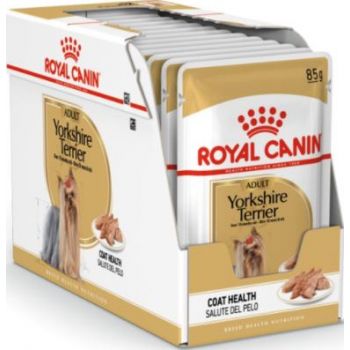  Royal Canin Dog WET FOOD -  YORKSHIRE ADULT (Box 85Gx12 ) 