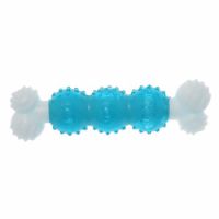Large Nylon Bone with TPR Core - Blue (pack of 3)