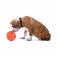 TRICKY TREAT BALL- LARGE