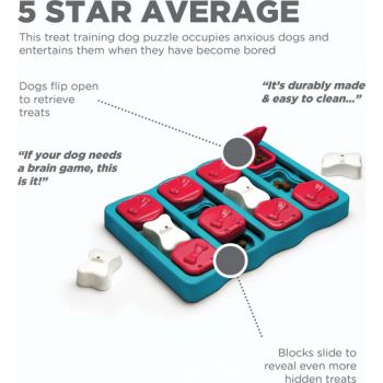  Nina Ottosson by Outward Hound Dog Brick Interactive Treat Puzzle Dog Toy, Intermediate 
