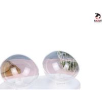 Saas Egg Shape Pet Dual Bowls White