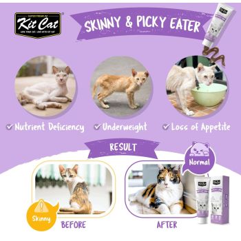  Kit Cat Daily Nutritional Supplement Gel For Cats & Kittens- Weight Gain (120g) 