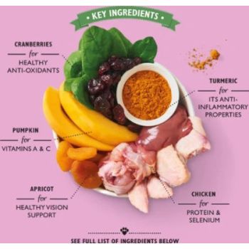  Lily's Kitchen Coronation Chicken Wet Dog Food 150G 