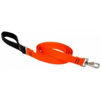 1" ORANGE  Leash 4' Long