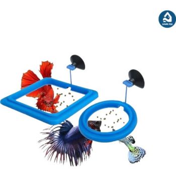  Saas Fish Feeding Ring 10*3.2cm 