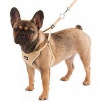 PUPPY HARNESS 81087