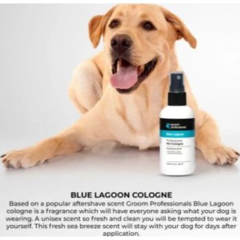  Groom Professional Blue Lagoon Cologne[Perfume]-Sweet Breeze Scent-200ml 