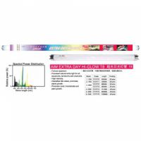 EXTRA DAY - HI - GLOW 10W
