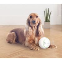 Dog Toys Automatic Rolling Treat  Ball