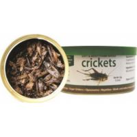 EXOTIC NUTRITION CRICKETS 35G