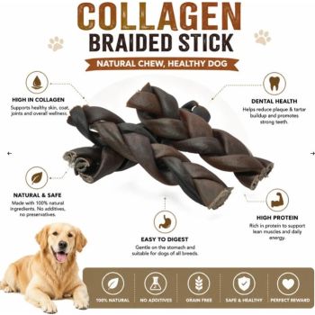  Petrix Collagen Braided Sticks 6 inches  3 Pcs 