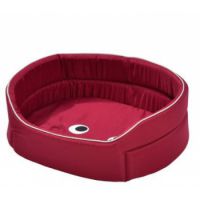 Spooky Basket - Maroon (Size 55)