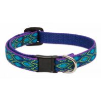 Cat collar RAIN SONG-1/2"Basics