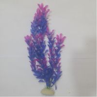 Sea Star Aquarium Plant PLT1218S
