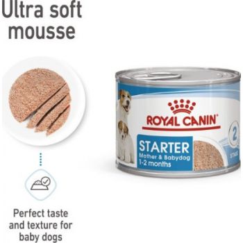  Royal Canin Starter Mousse Wet Food  195g 