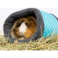 Bunny Nature Fleecy –  Beddings Turquoise