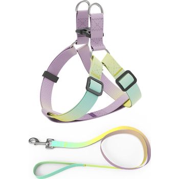  Helepet Flat Pet Leash Harness-Plastic Buckle  Large: 20mm*330-500mm  Yellow Rainbow 